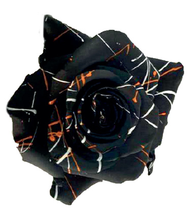 Rosa Blanca Premium